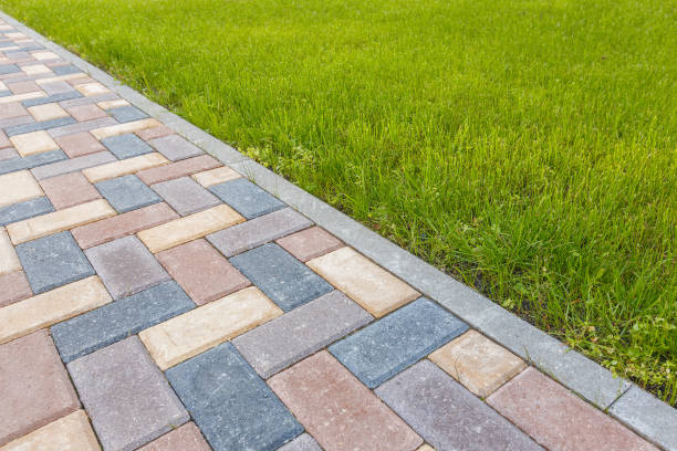 Best Local Driveway Pavers  in Laupahoehoe, HI